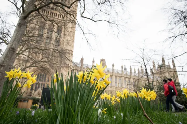 Parliament