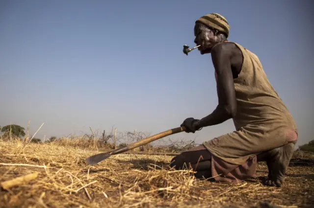 
          Nyebol Joul Nhial prepares the land for maize cultivation in Ngop in South Sudan"s Unity State on March 10, 2017
        