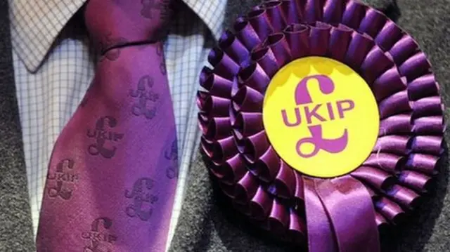 UKIP rosette and tie