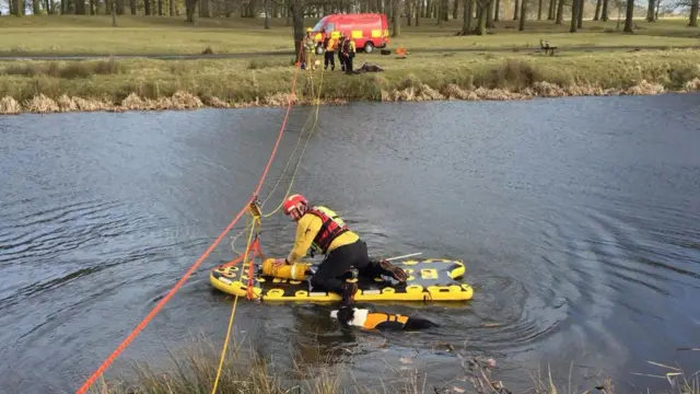 Rescue dog Bryn in action on the river