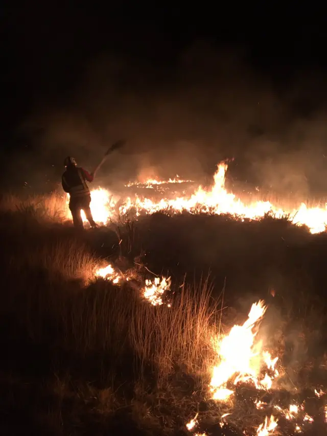 Gorse fire