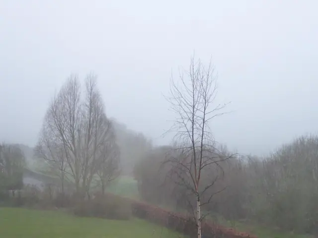 Mist in Leicestershire