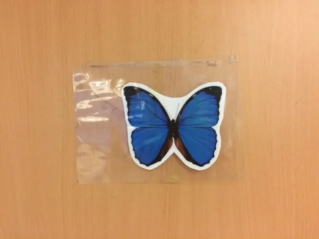 Blue butterfly