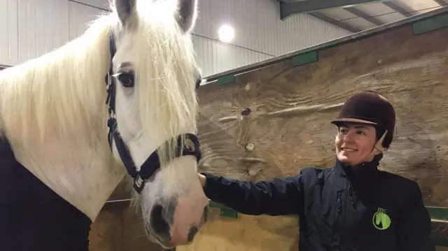 Shire horse with owner at the event