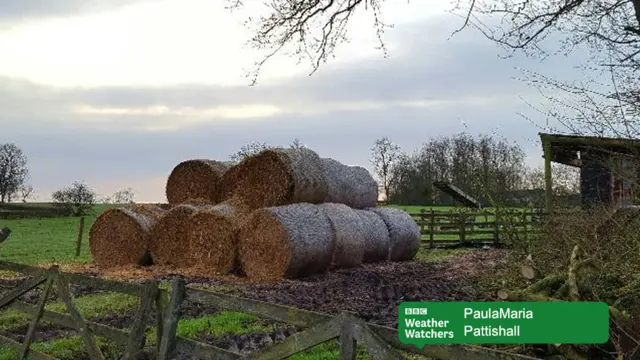 A field in Pattishall