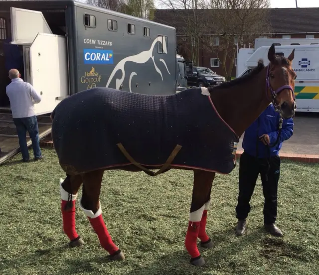 Cue Card