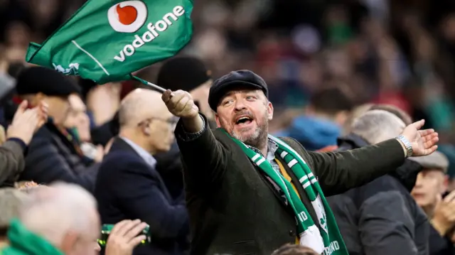 An Ireland fan