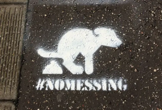 White stencilled image of a dog messing on paving