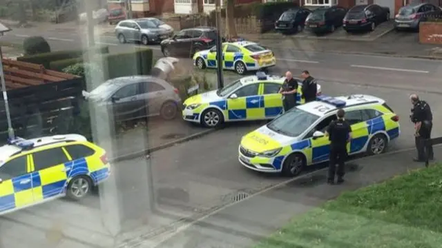 Car crashed into fence surrounded by police cars