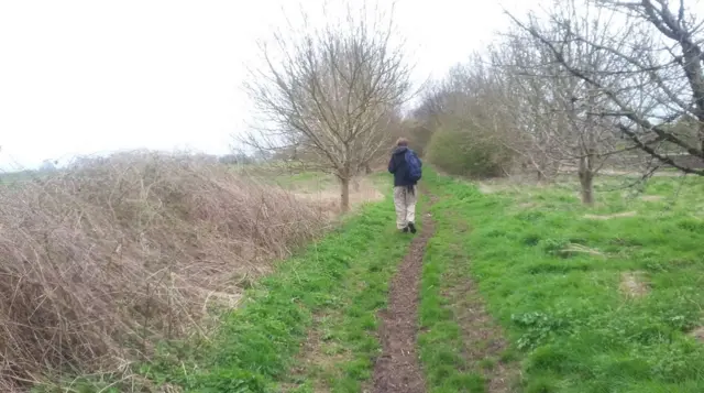 A marcher walking through Cambridgeshire