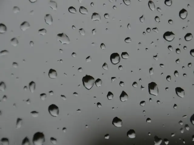 Raindrops