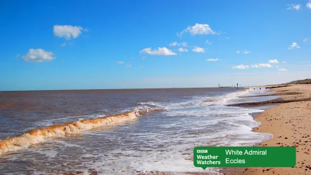 Blue sky over sandy beach, with low waves