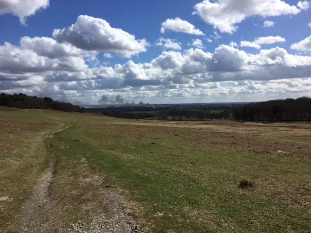 Bradgate Park