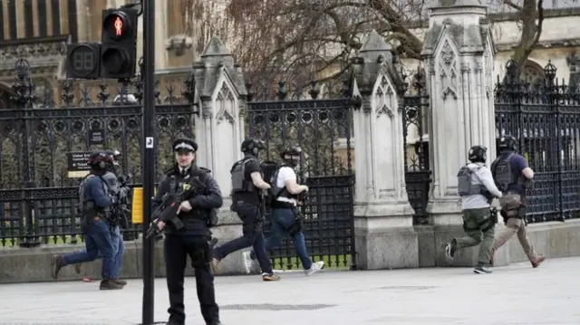 Armed police at Parliament