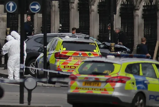 
          forensics officers work around a grey vehicle that crashed into the railings of the Houses of Parliament
        