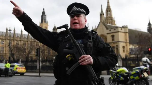 Police officer at Westminster