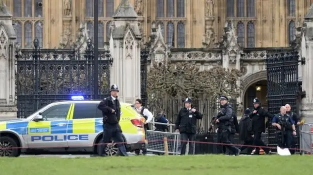 Police outside Parliament