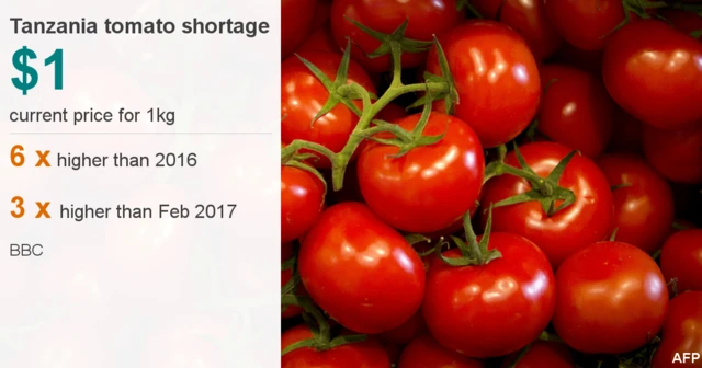 
          Datapic shows photo of tomatoes, with current price of $1 for 1kg. 6x higher than 2016 price. 3x higher than last month.
        