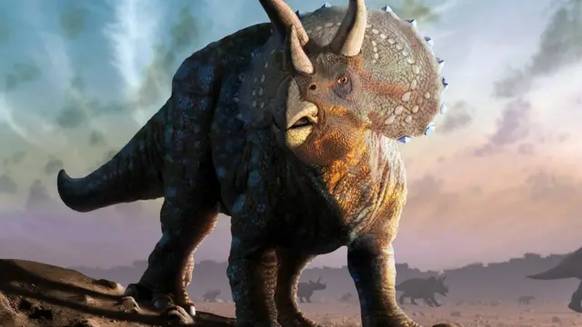 Triceratops