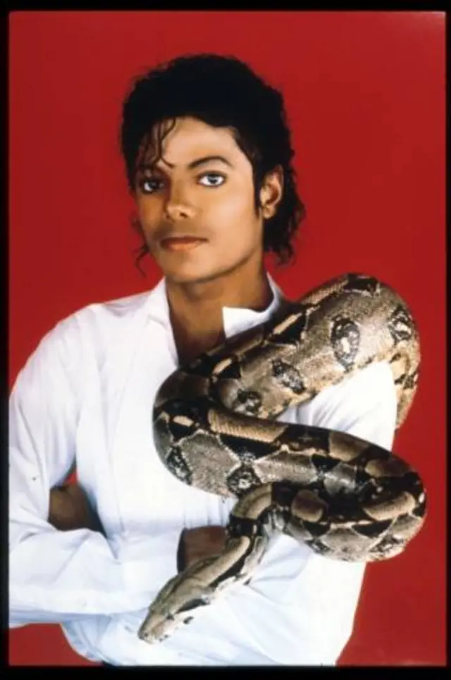 Michael Jackson