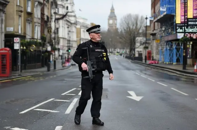 Police officer in Whitehall