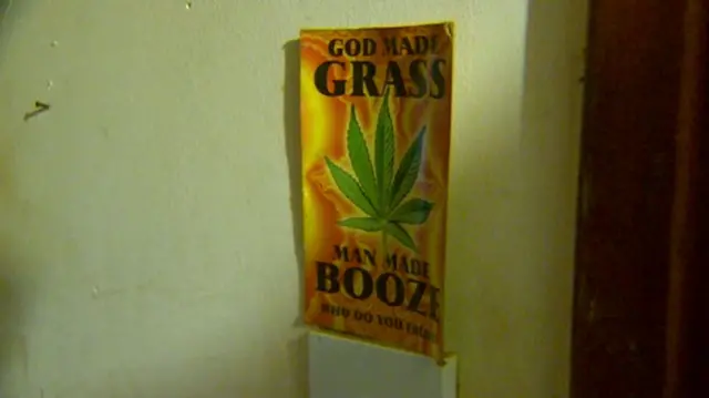 Poster with an image of a cannabis leaf