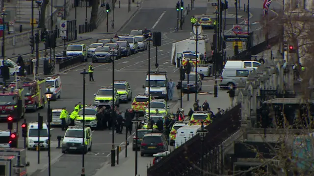 Police action on Westminster Bridge