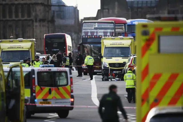 Emergency services outside Palace of Westminster