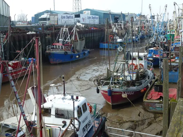 King's Lynn fishing boats