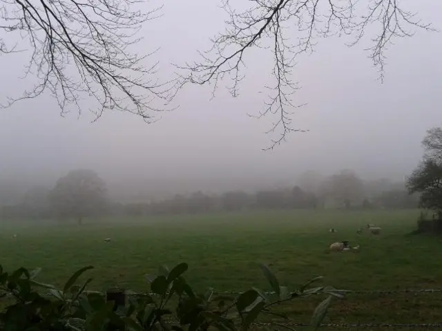 Misty fields in Bromyard