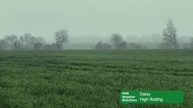 High Roding
