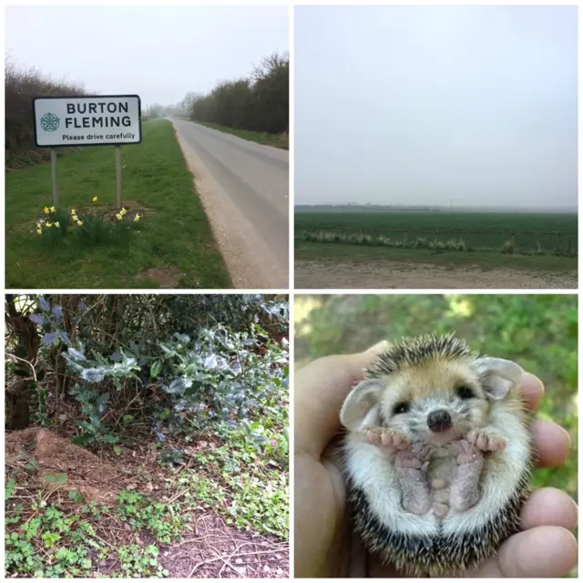 Burton Fleming and Hedgehog Village Collage