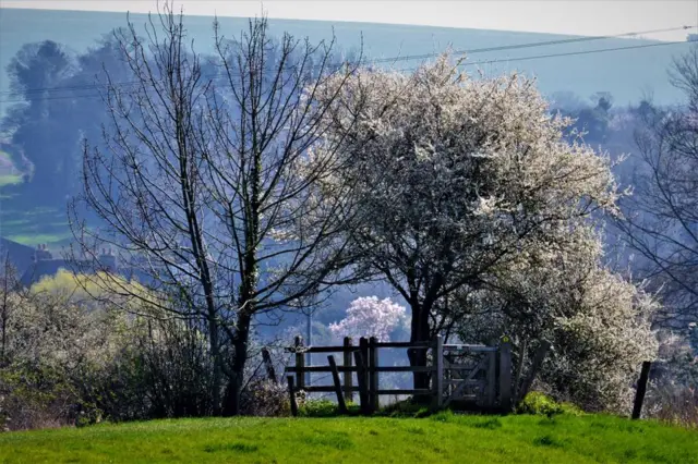 Alfriston