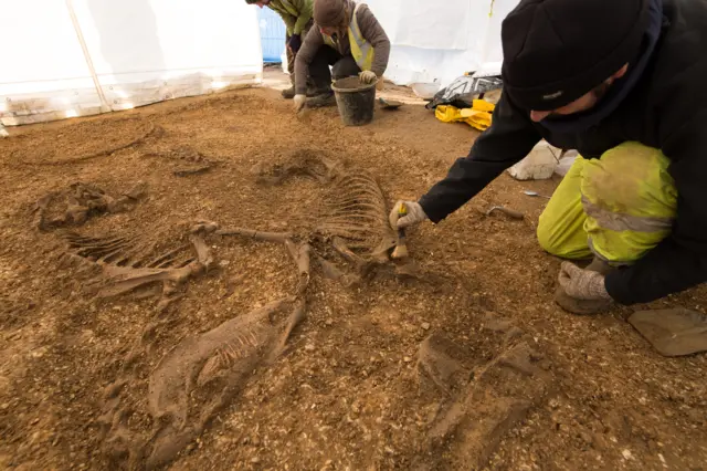 Iron Age dig at Pocklington