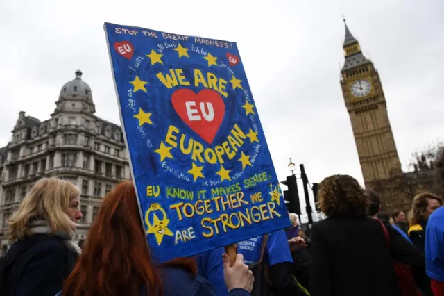 Pro-EU demonstrators in Westminster