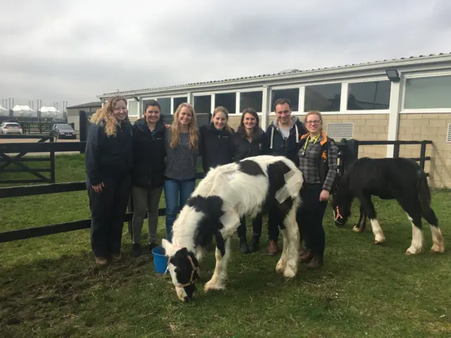 Vets with the two ponies