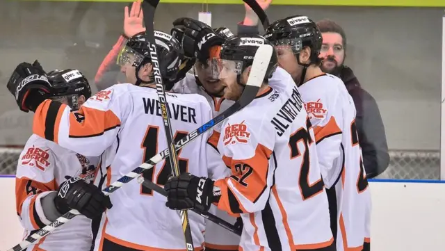 Telford Tigers - generic image