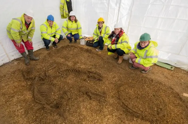 Iron Age dig at Pocklington