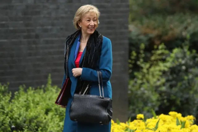 Andrea Leadsom