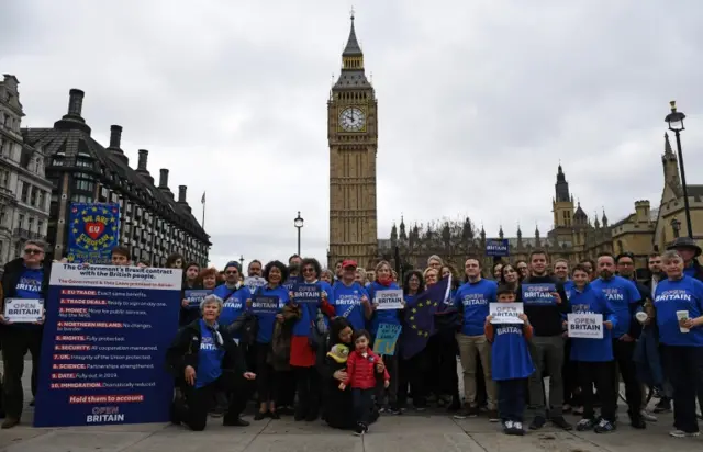 Pro-EU demonstrators