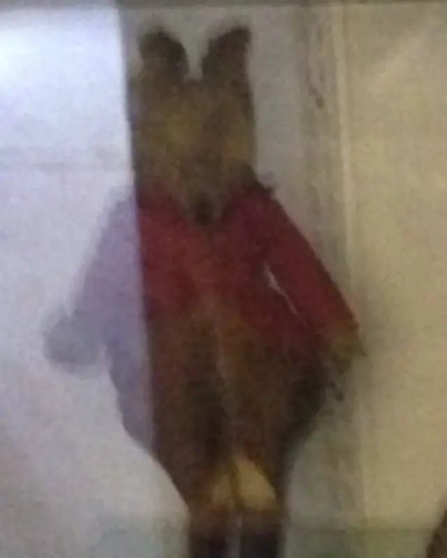 mr fox