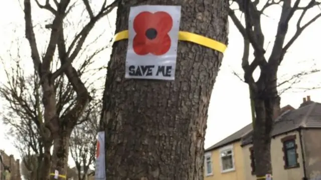 Tree with sign attached