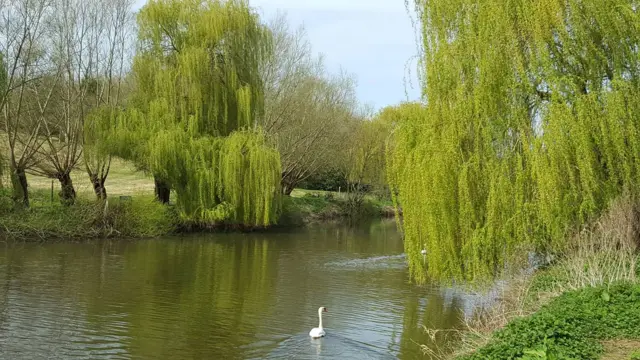 Teston Lock