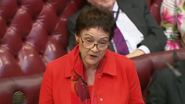 Baroness Ludford