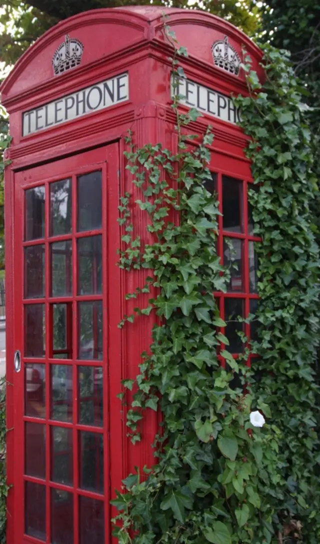 Old red phone box