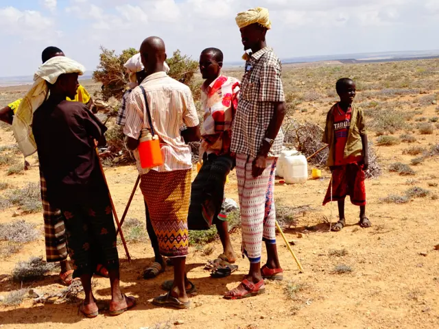 herdsmen in a landscape of brush and scrub