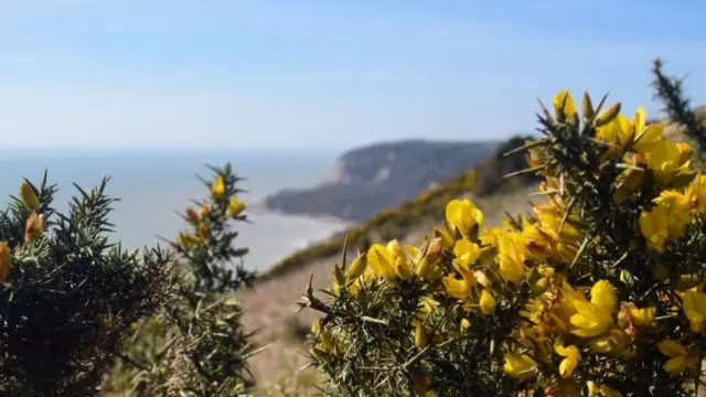 Hastings Country Park