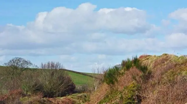 Field near Oswestry