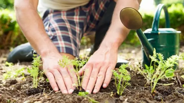 Gardening