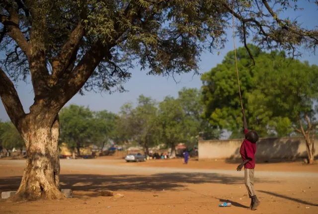 Mango tree and its shadow in South Sudan